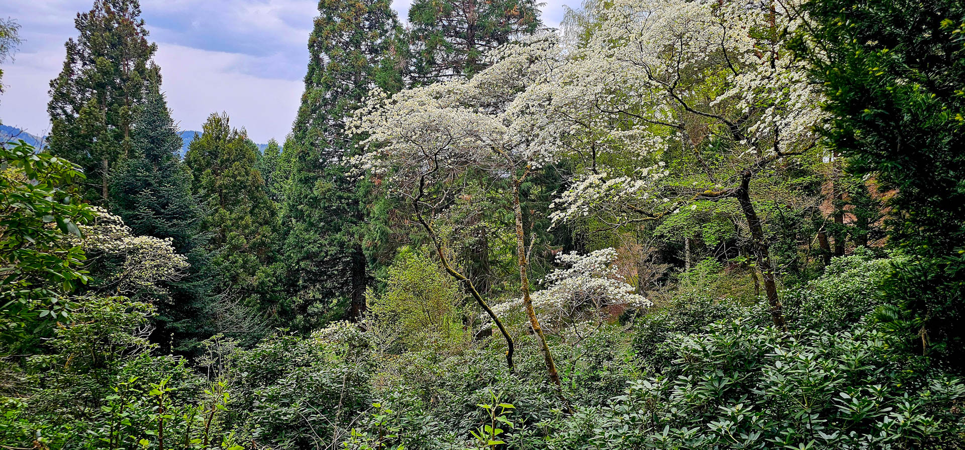 flugliebe 20260411 001 1440 4